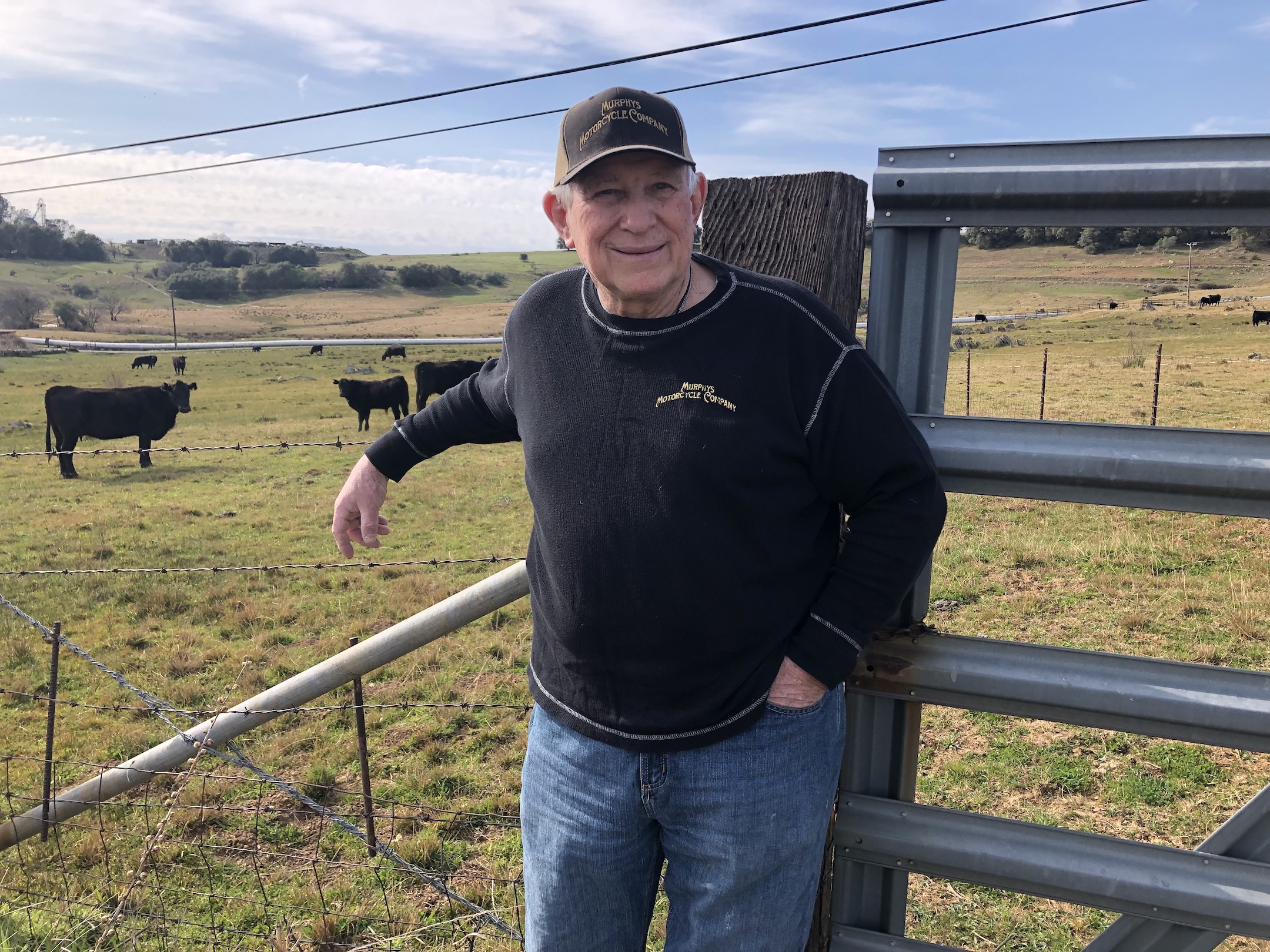 Roy Beck stands in front of a gate with cattle grazing in a pasture in the background