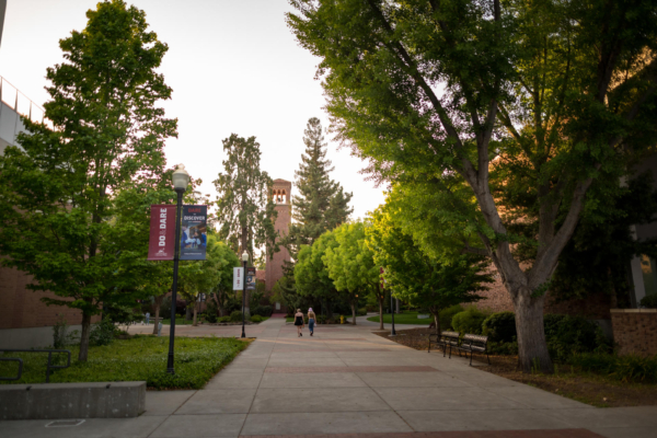 The sun sets in the background on a college campus, where students walk and trees line a walkway.