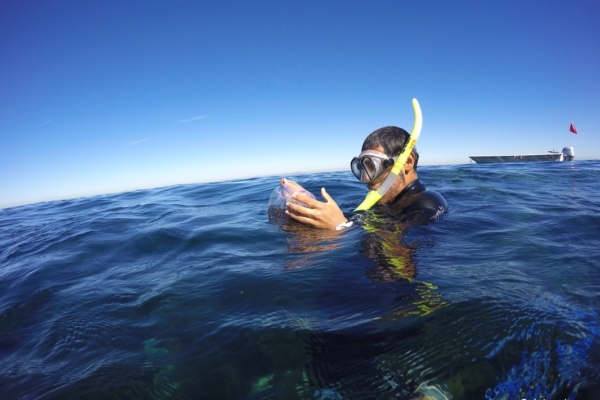 Jaime Lopez pops up from underwater wearing a snorkel mask and holding a bag of sea specimens