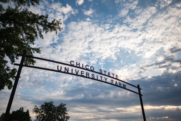 A sign reading "Chico State University Farm" is seen with a late evening sky in the background