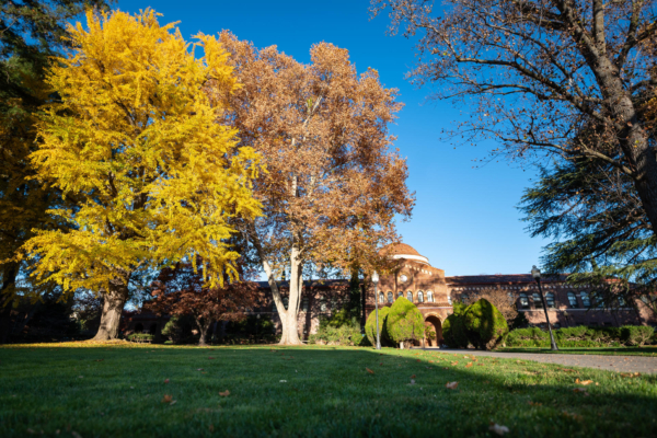 Stunning fall colors in trees on a lawn in front of an academic building