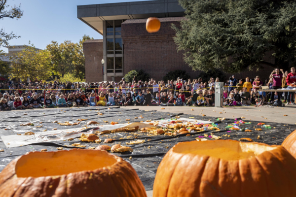 Kids look on as a pumpkin drops to the ground in physics display