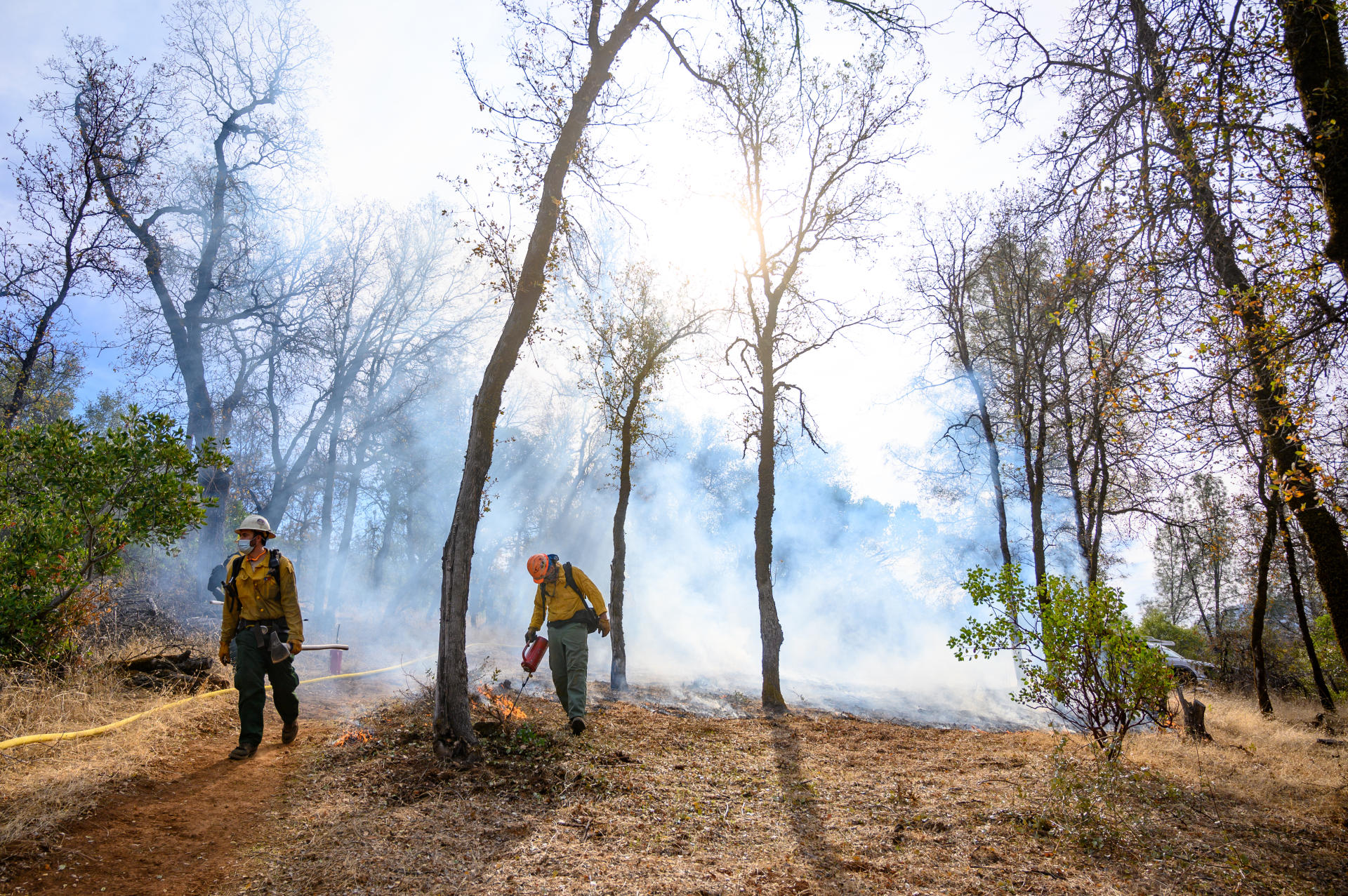 Smoke fills the air as a prescribed burn takes place