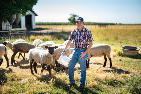 Manny Lopez stands in a field of sheep with a feed bucket.