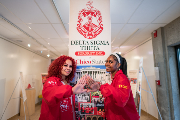 Delta Sigma Theta members Arianna Punter (left) and La’Netta Bowden pose in front of a poster on display.