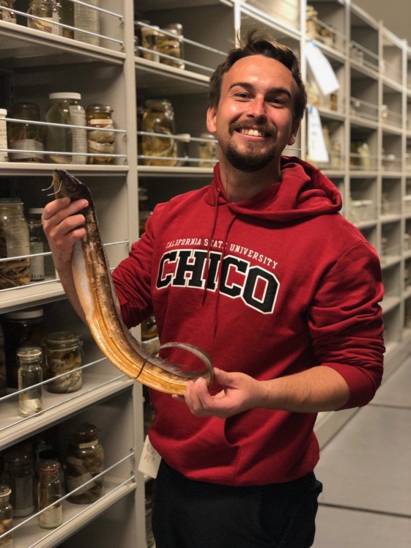 Cole Schmitt holds a cutlassfish in a laboratory.