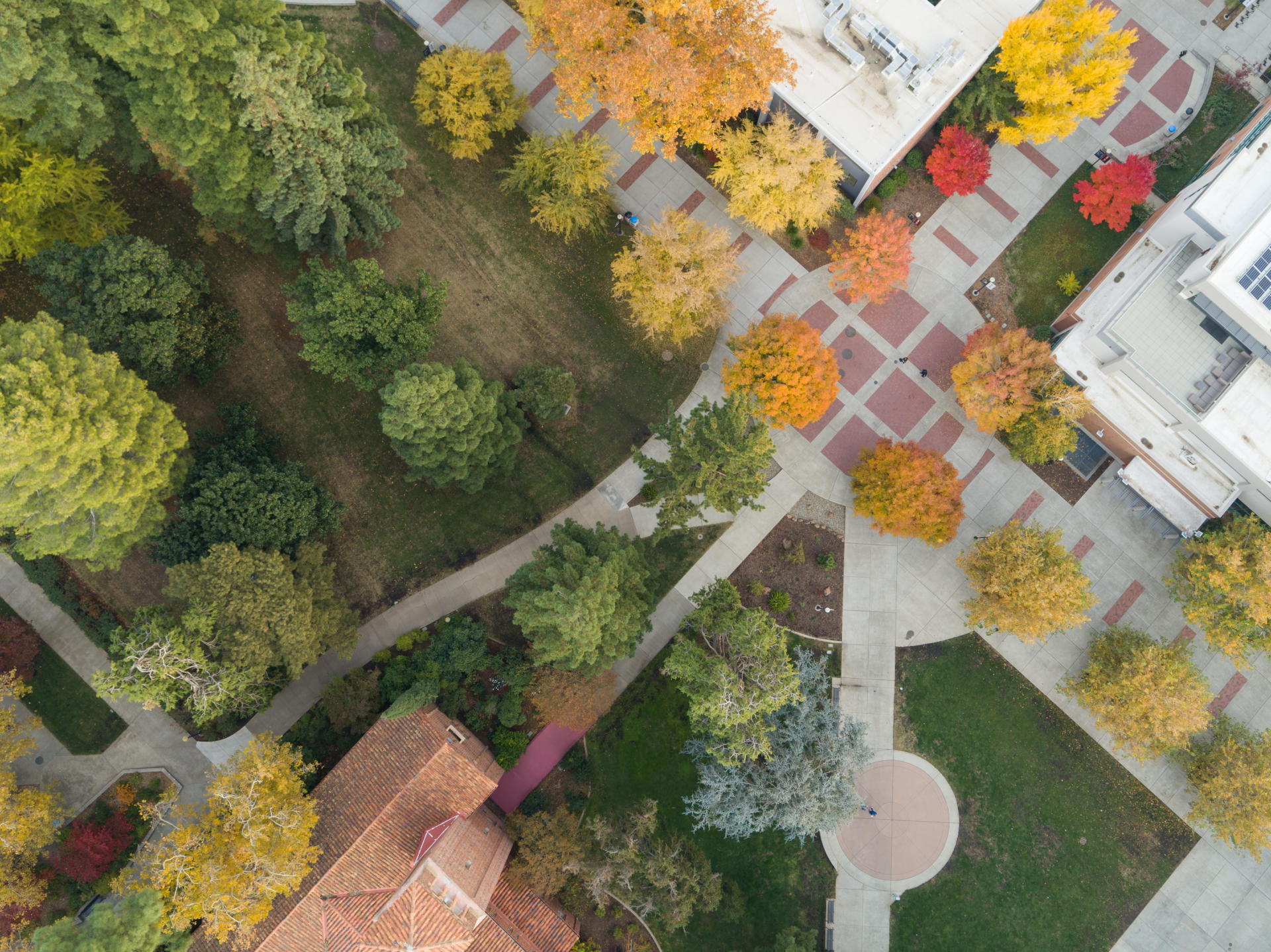 A college campus' trees and walkways as seen from a drone high above