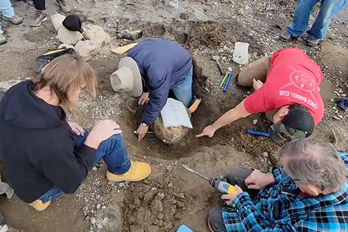 A group of people crowd around a fossil being excavated from the soil. 