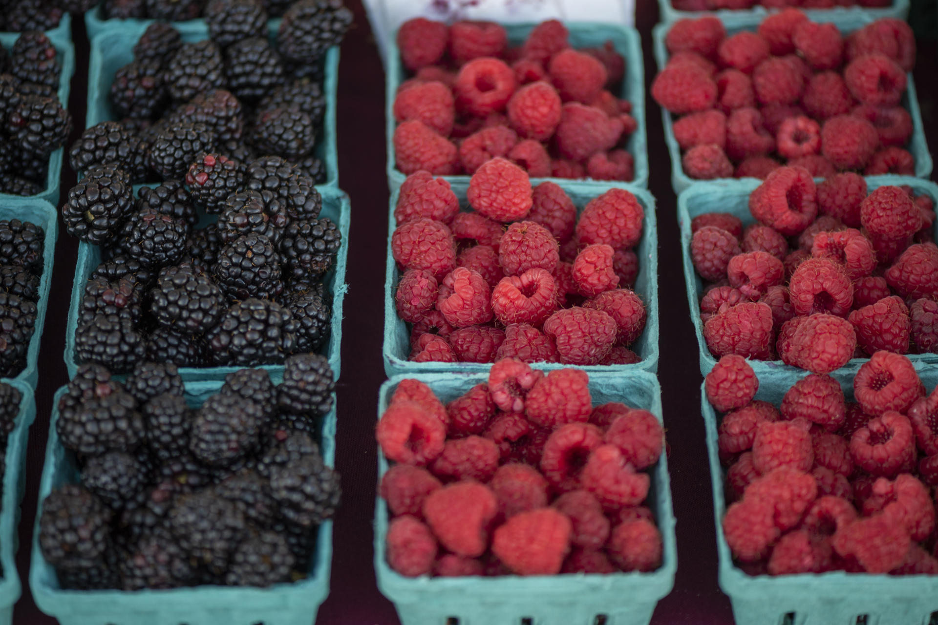 Boxes of beautiful blackberries and raspberries