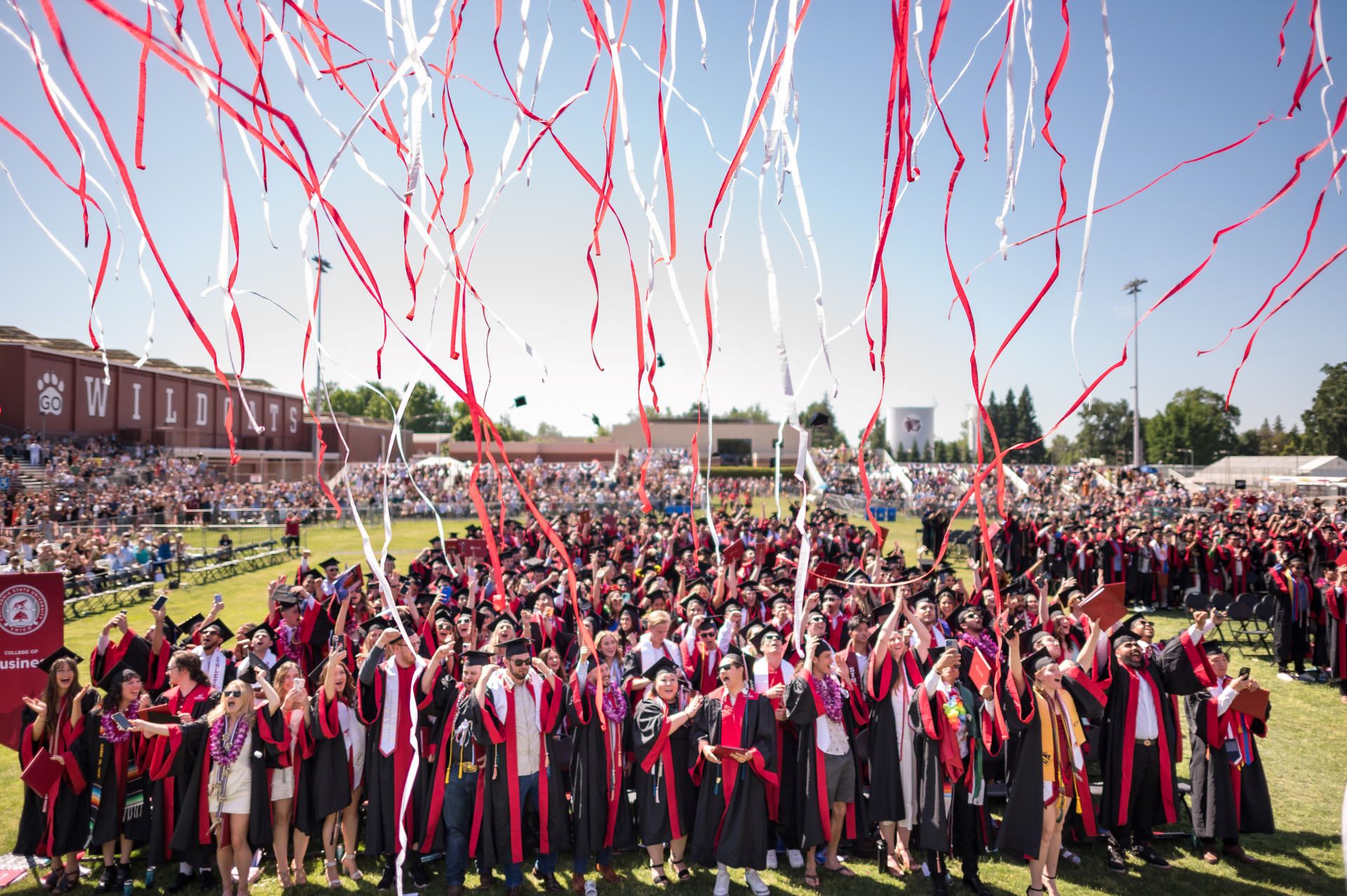 Streamers fall over a large group of college graduates during a commencement ceremony.