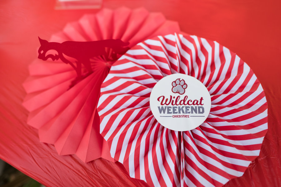 A pair of red and white decorative ribbons that say Wildcat Weekend