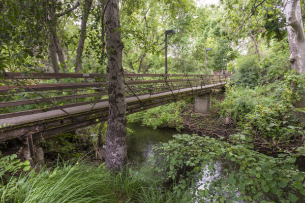 A wood pedestrian bridge over a flowing creek and with ivy, bushes, and trees around.