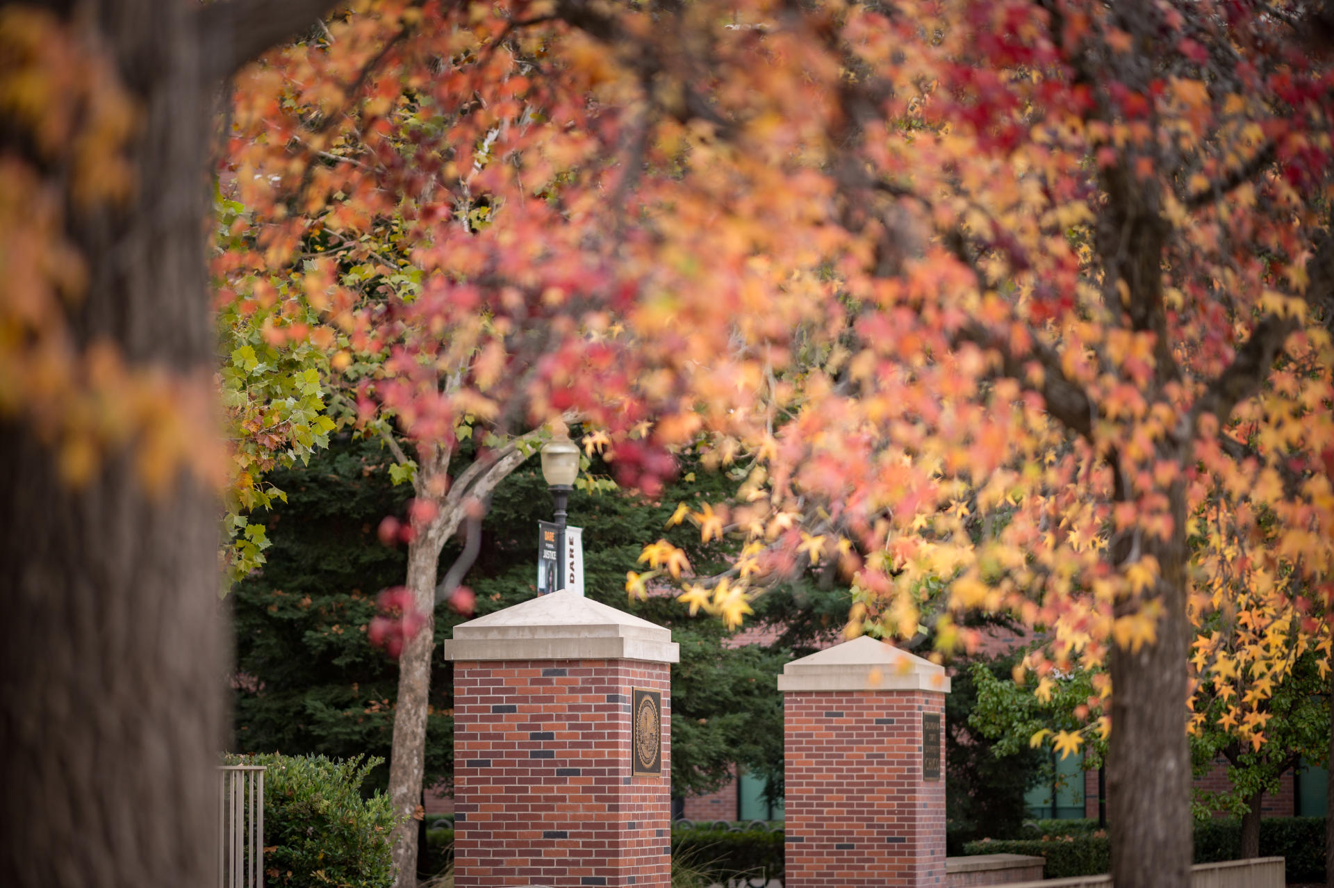 Fall foliage surrounds brick pillars on a college campus.