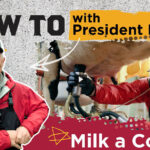 A graphic showing President Perez in overalls and milking a cow, with the headline "How to Milk a Cow."