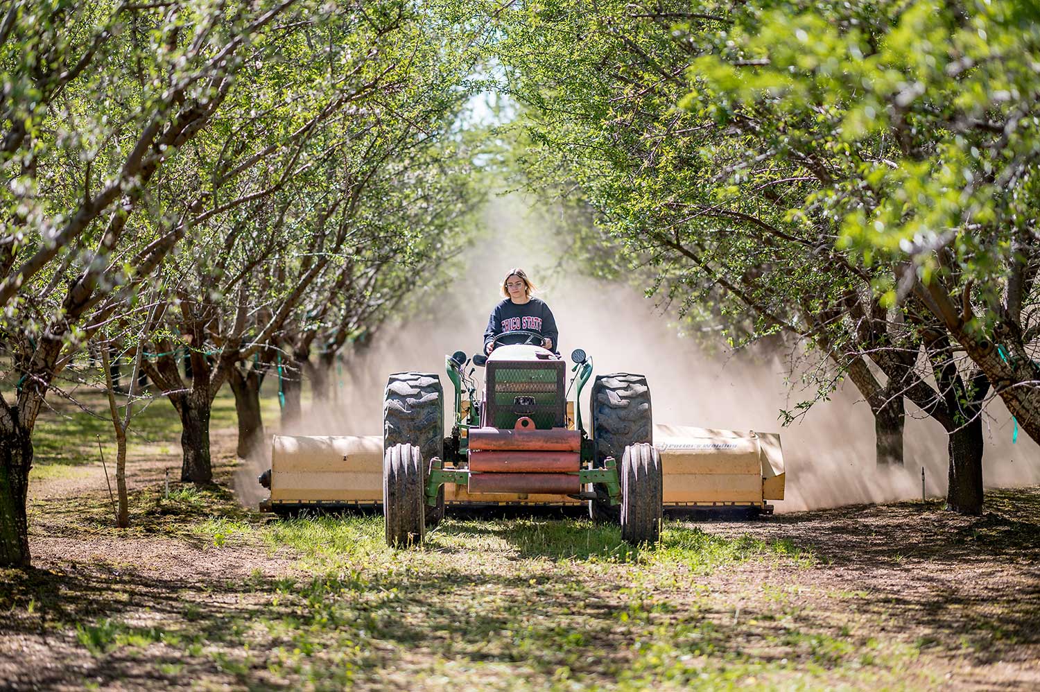 A student drives a tractor through an orchard.