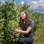 Maia Crummett kneels on the edge of a Faba Bean field and holds a plant.