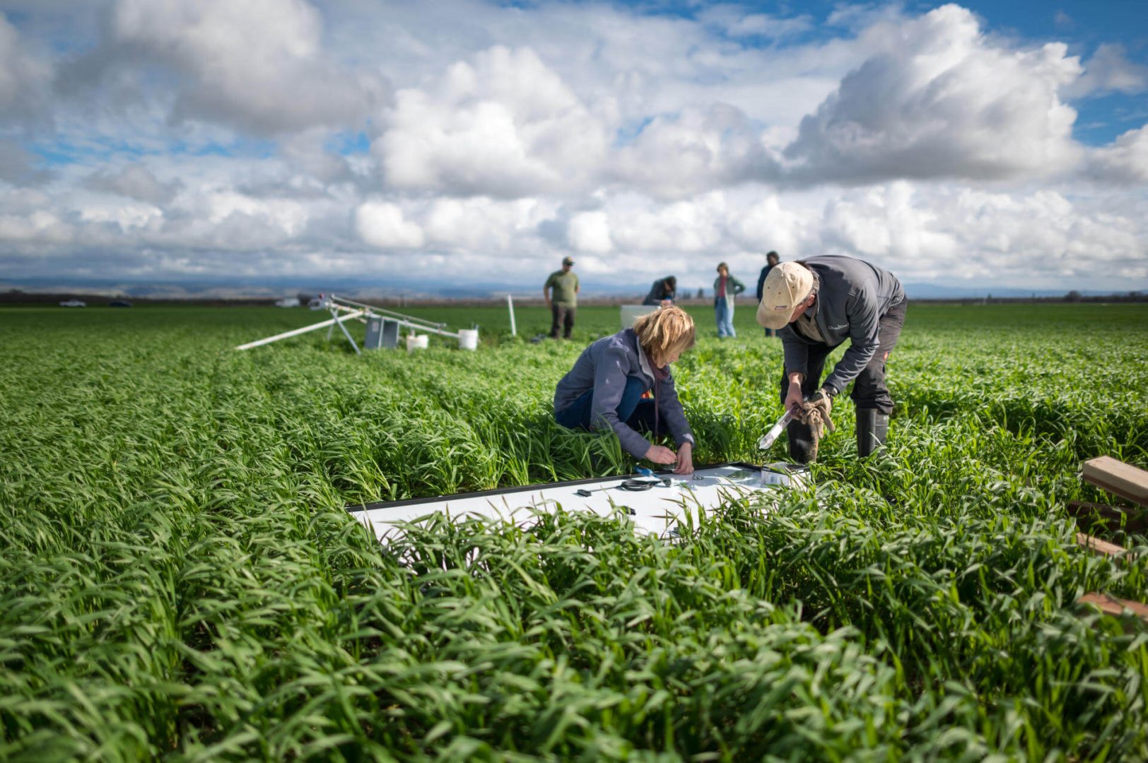 People install towers to capture carbon in a field of greenery.