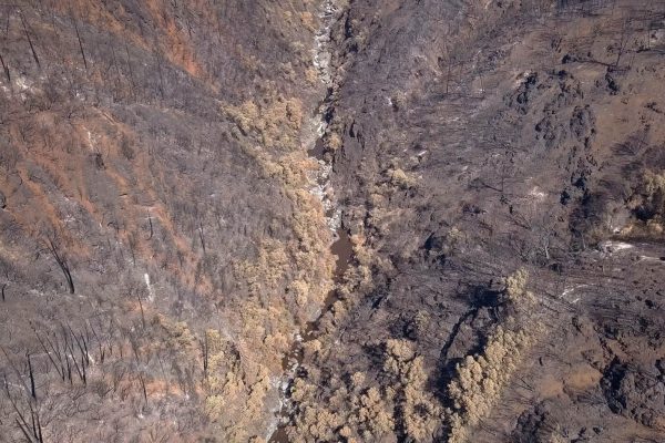 An aerial photo shows a muddy creek in a heavily scorched canyon.