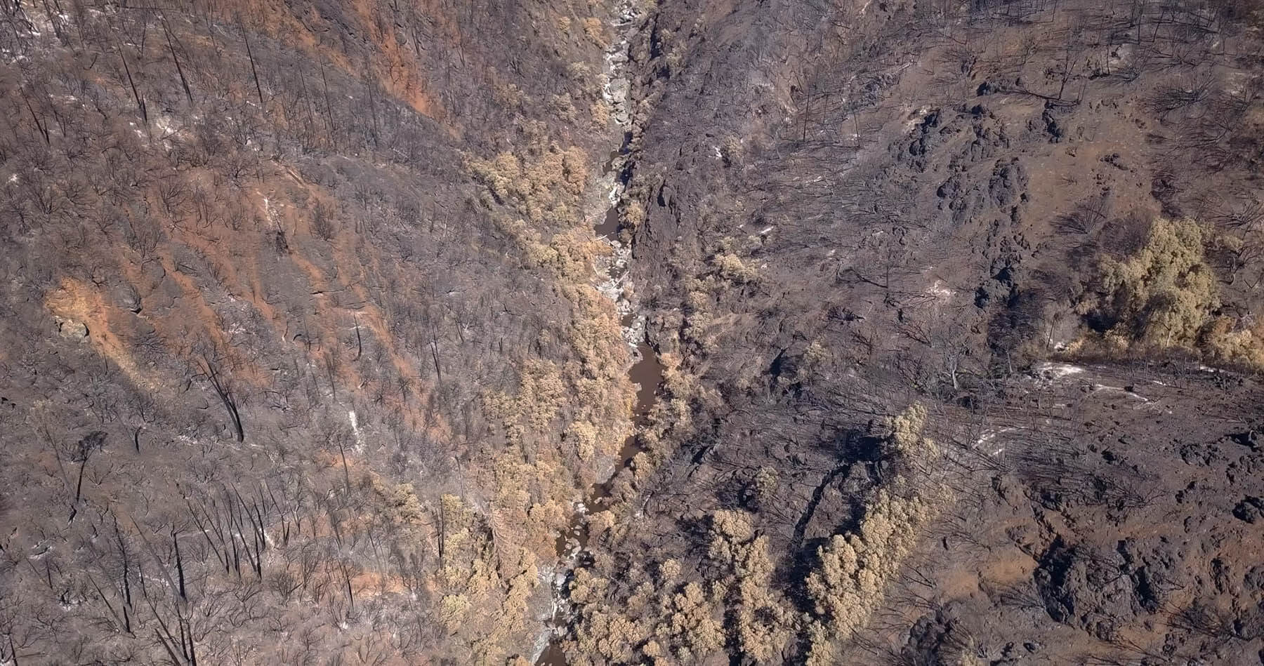 An aerial photograph shows a muddy stream in a heavily burned canyon.