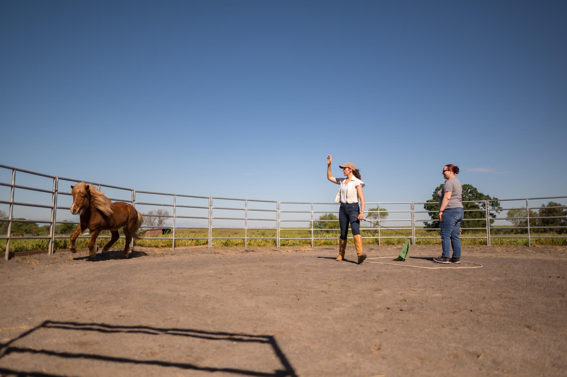 Two people stand in a horse arena while a horse gallops to the left.