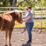 Noelle Beltz pets a horse during an equine-learning experience