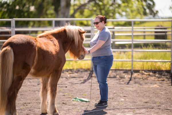 Noelle Beltz pets a horse during an equine-learning experience