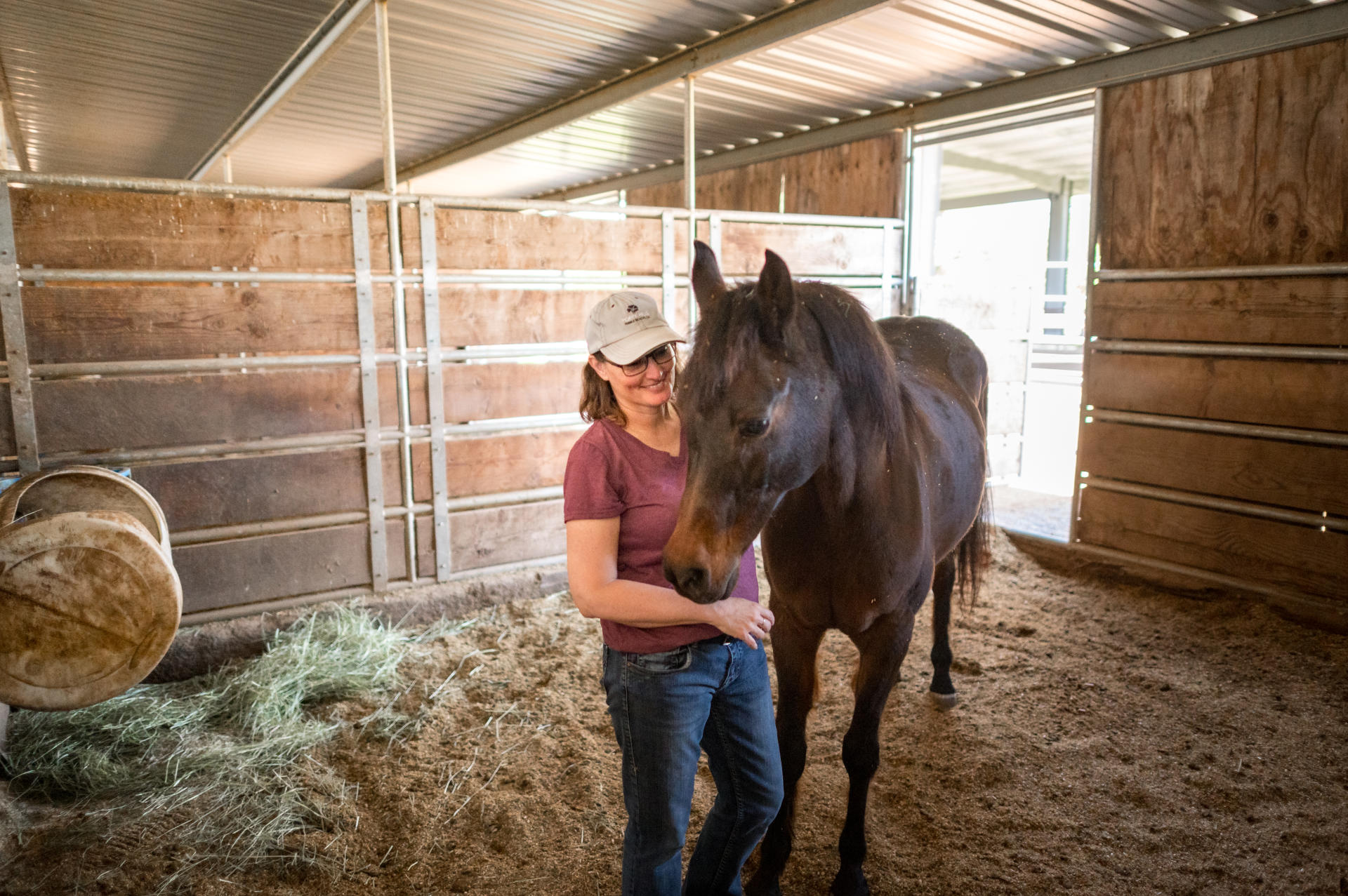 A person stands close to a horse to pet it