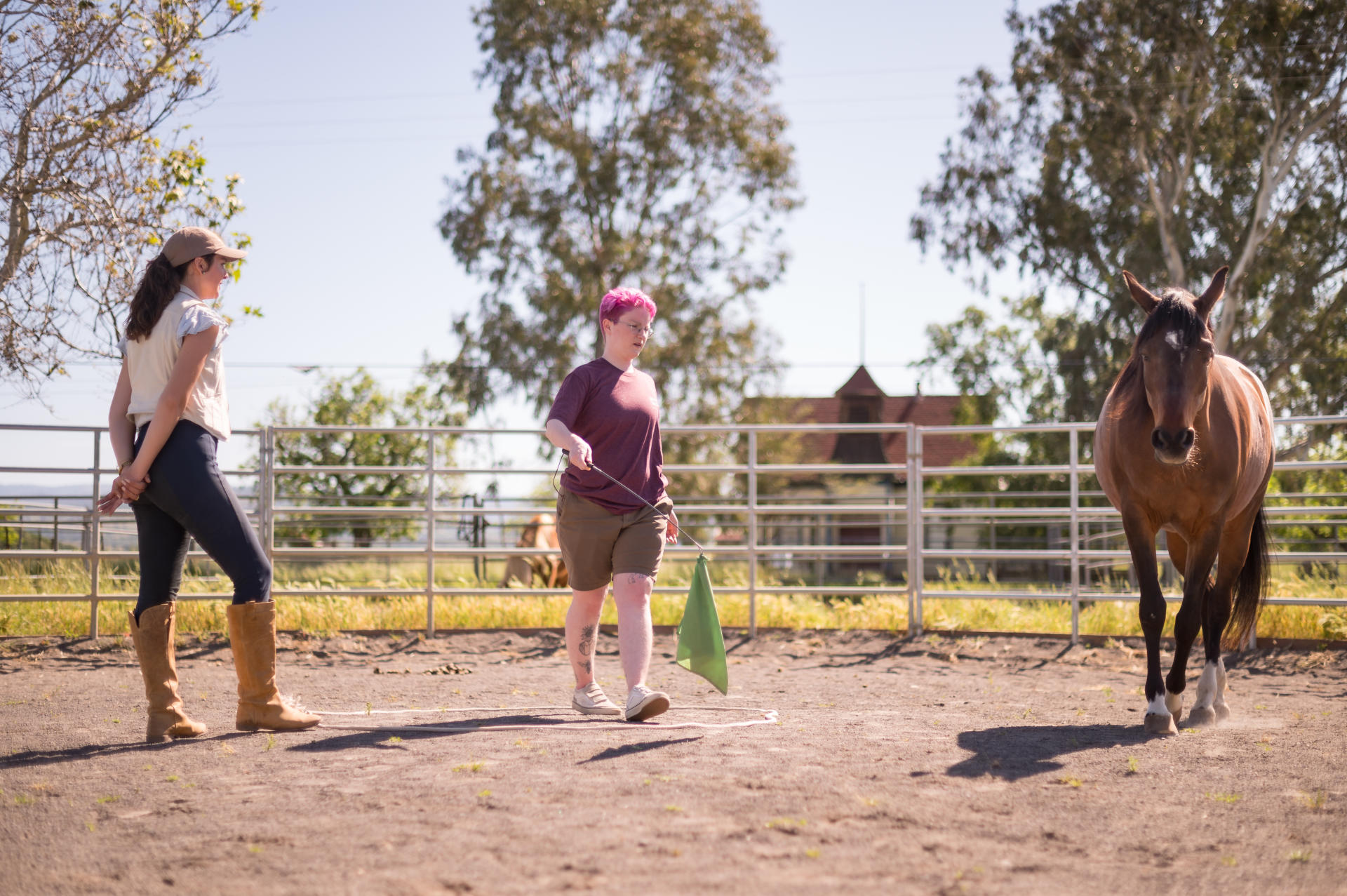 Two people stand in a horse area while working with a horse